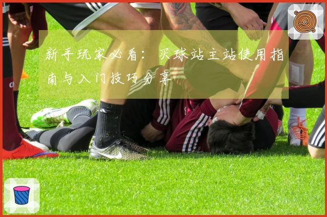 新手玩家必看：买球站主站使用指南与入门技巧分享