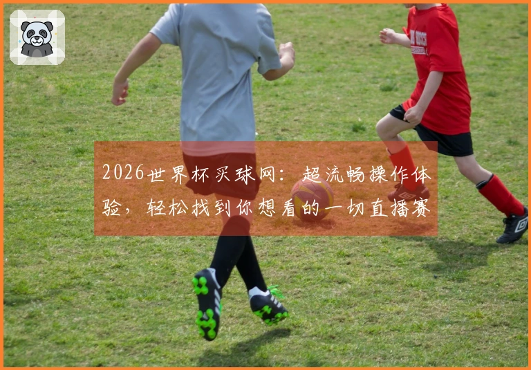 2026世界杯买球网：超流畅操作体验，轻松找到你想看的一切直播赛事