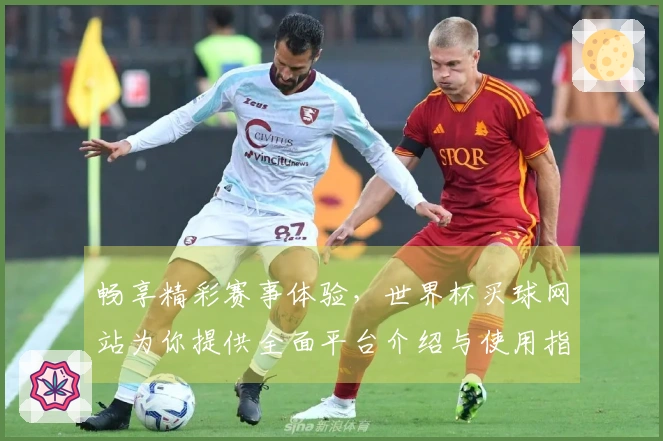 畅享精彩赛事体验，世界杯买球网站为你提供全面平台介绍与使用指南