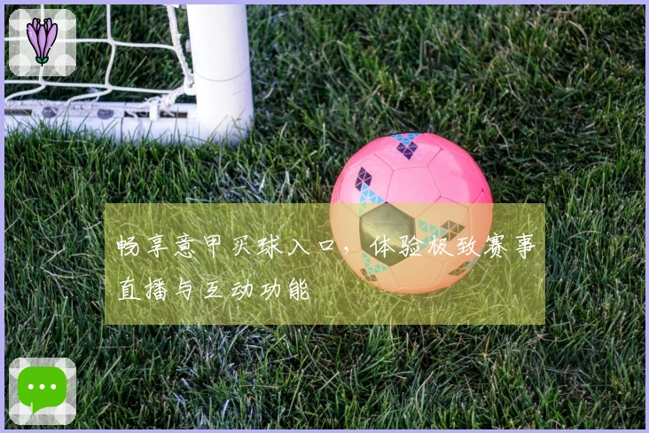 畅享意甲买球入口，体验极致赛事直播与互动功能