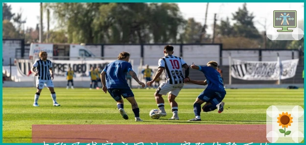 中欧买球官方网站：实际体验下的优缺点全方位评测与指南