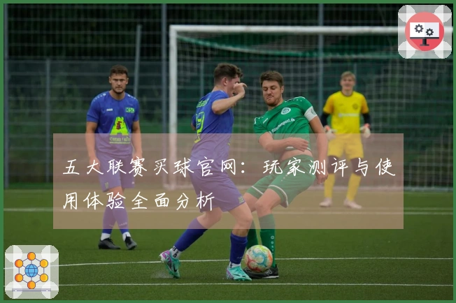 五大联赛买球官网：玩家测评与使用体验全面分析