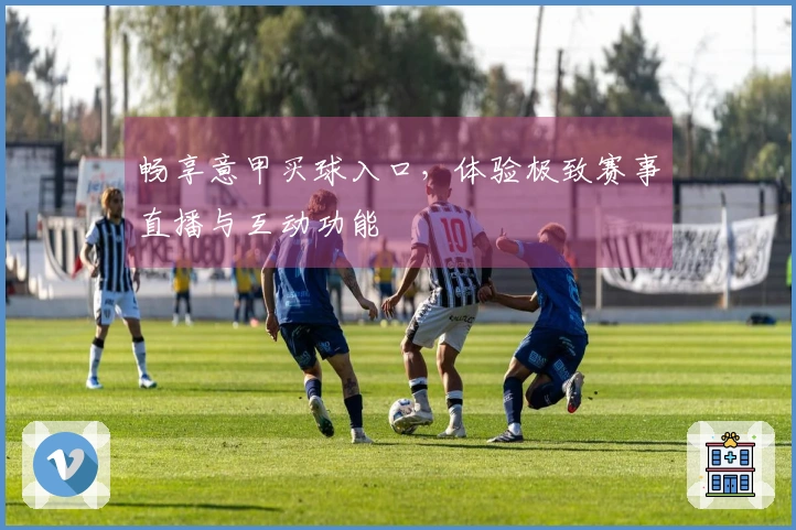 畅享意甲买球入口，体验极致赛事直播与互动功能