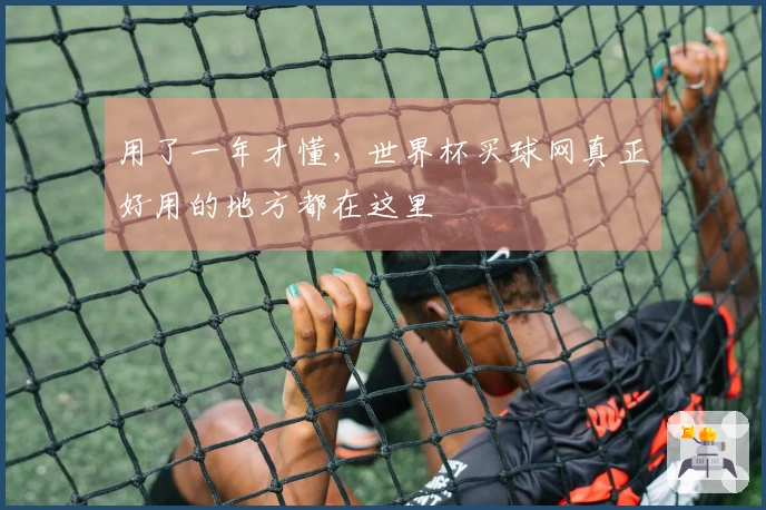 用了一年才懂，世界杯买球网真正好用的地方都在这里