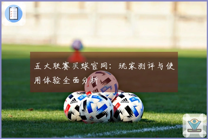五大联赛买球官网：玩家测评与使用体验全面分析
