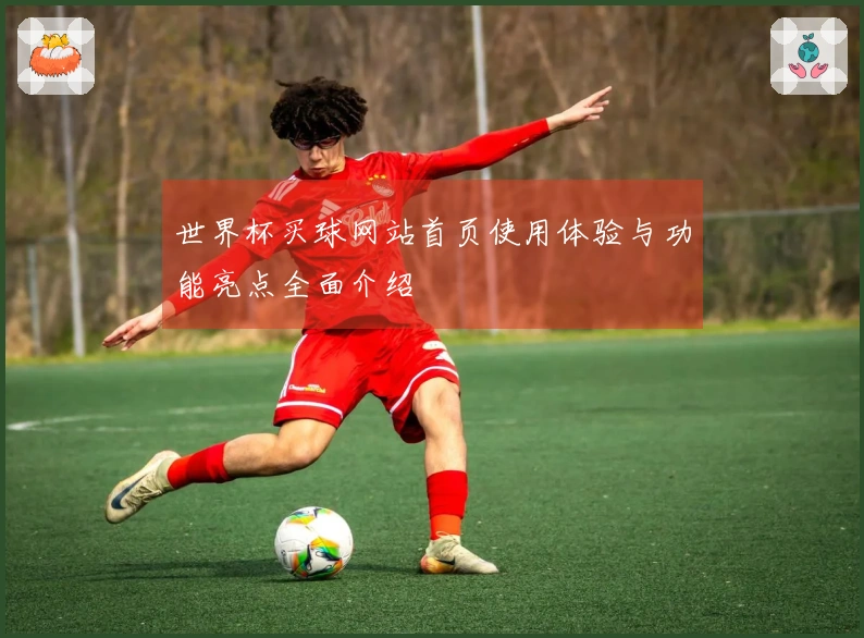 世界杯买球网站首页使用体验与功能亮点全面介绍