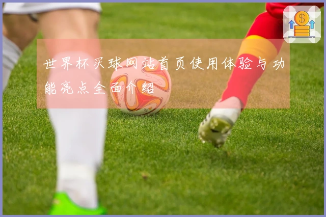 世界杯买球网站首页使用体验与功能亮点全面介绍